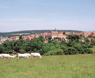 Flavigny-sur-Ozerain