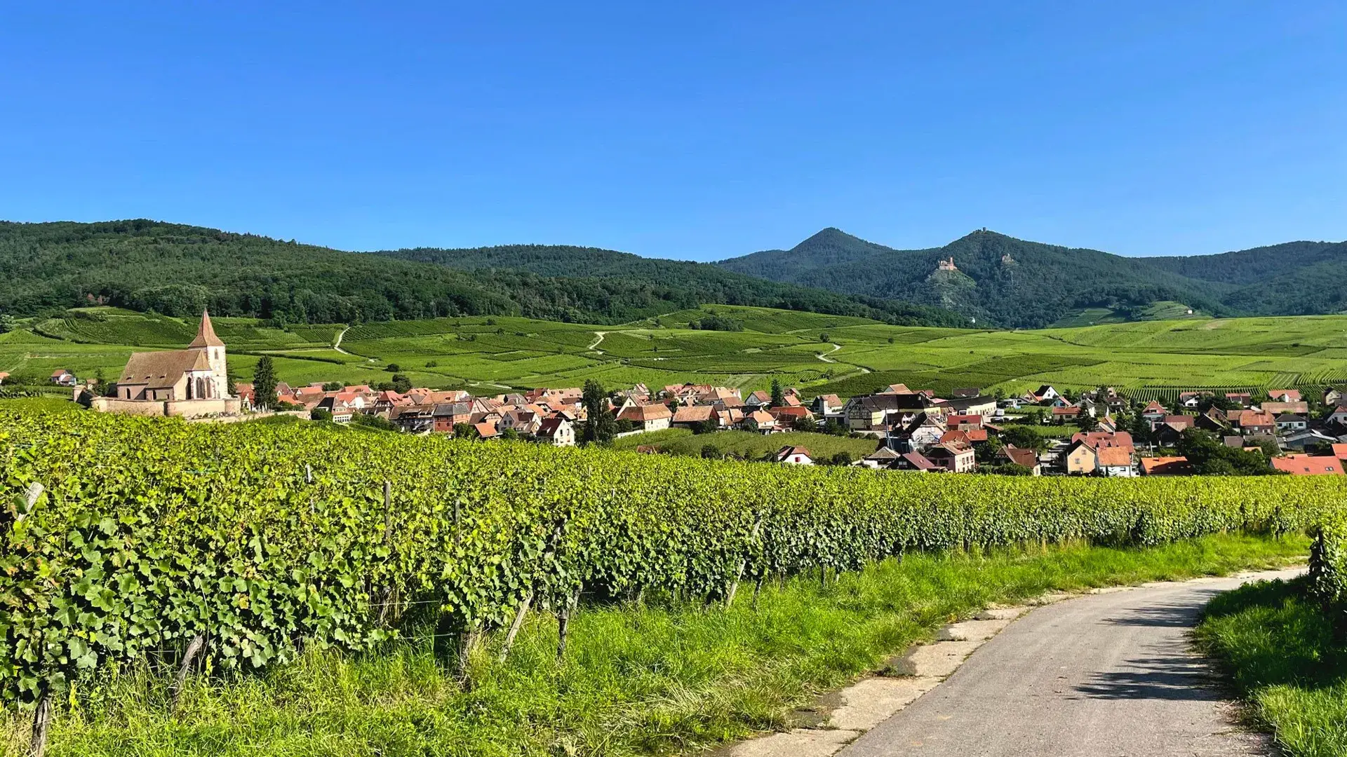 Hunawihr vue panoramique vignoble et village