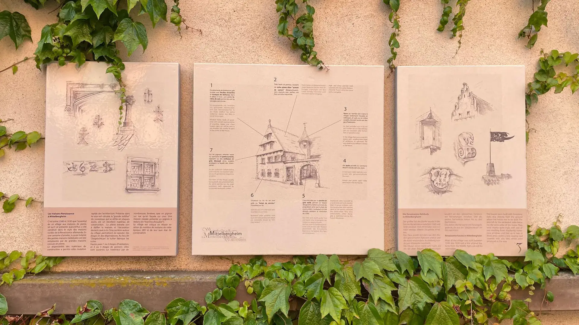 Mittelbergheim panneaux explicatifs architecture