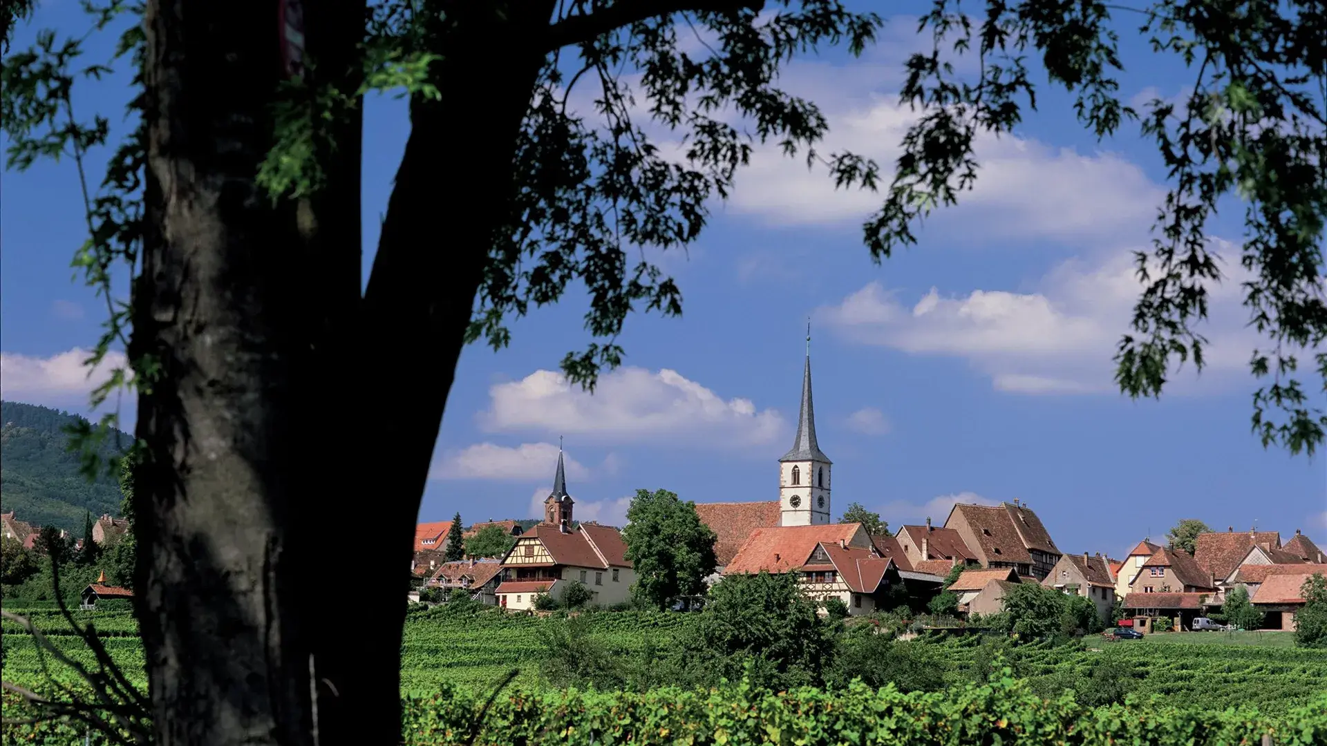 Mittelbergheim vue d'ensemble