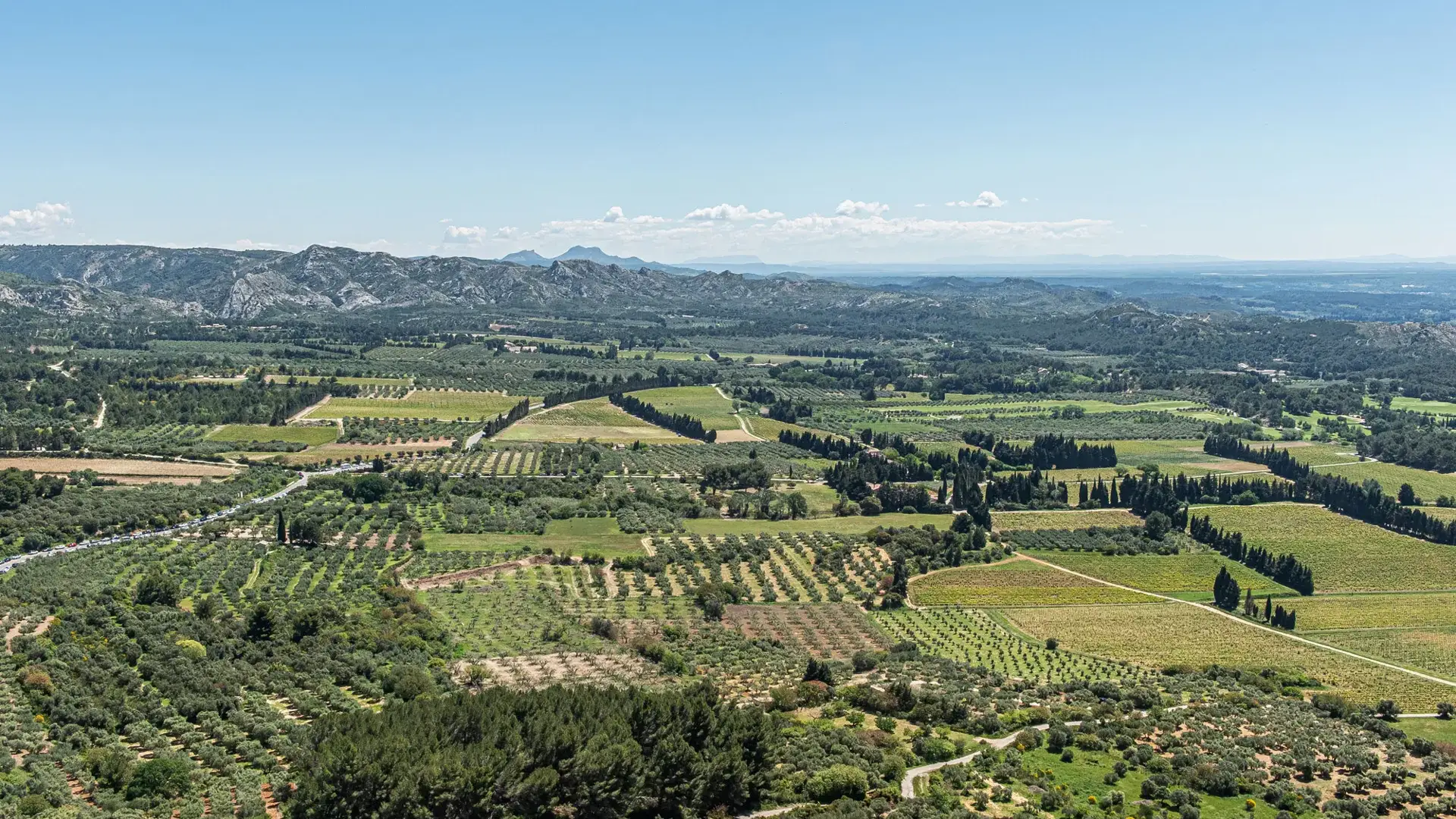 Les Baux-de-Provence, vue vignes et oliviers