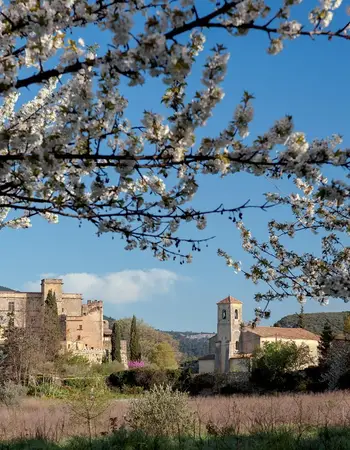 Lourmarin image