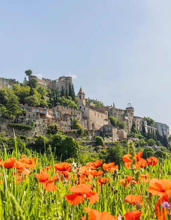 Montbrun-les-Bains image
