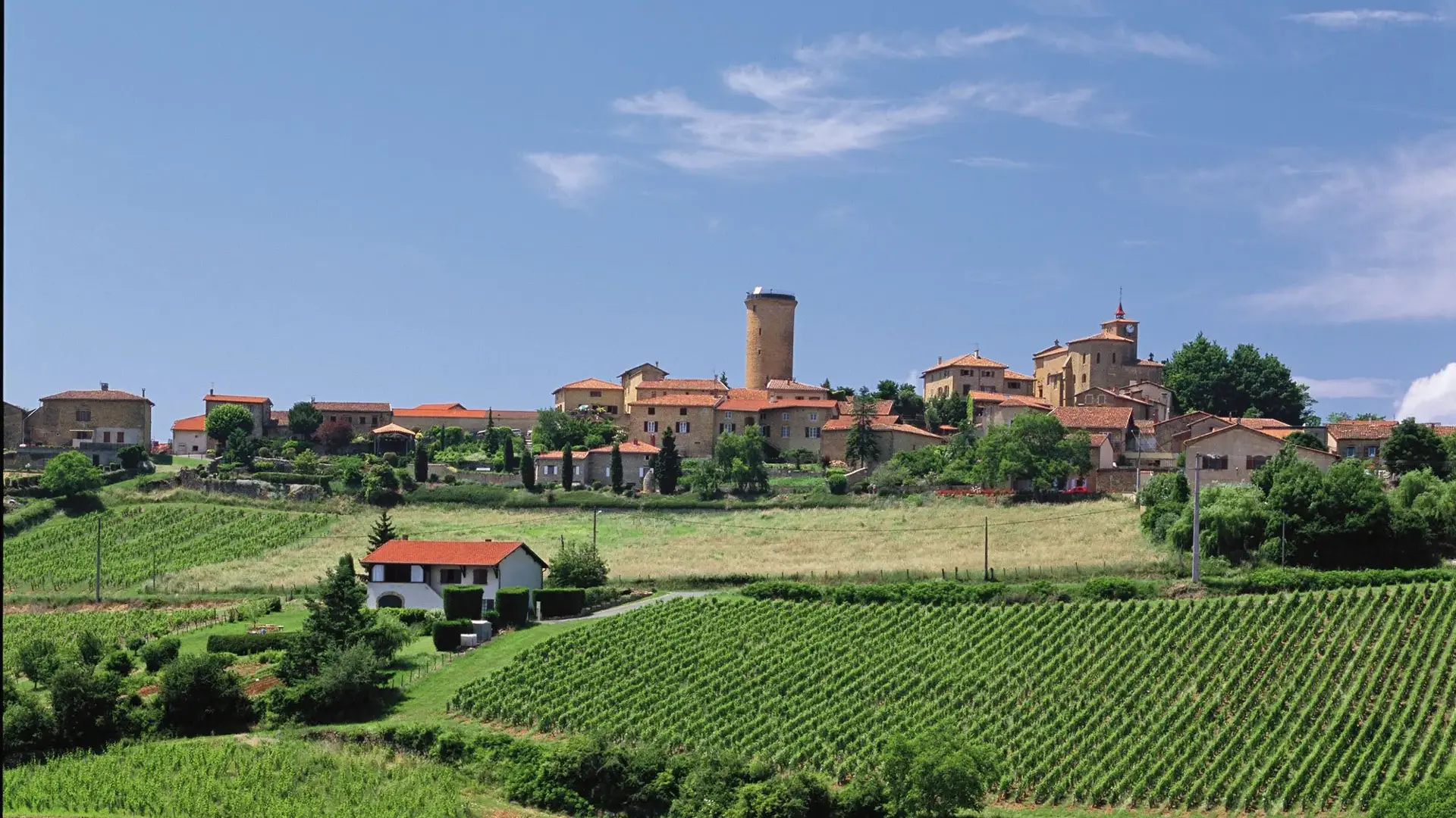 Oingt vue vignes et village