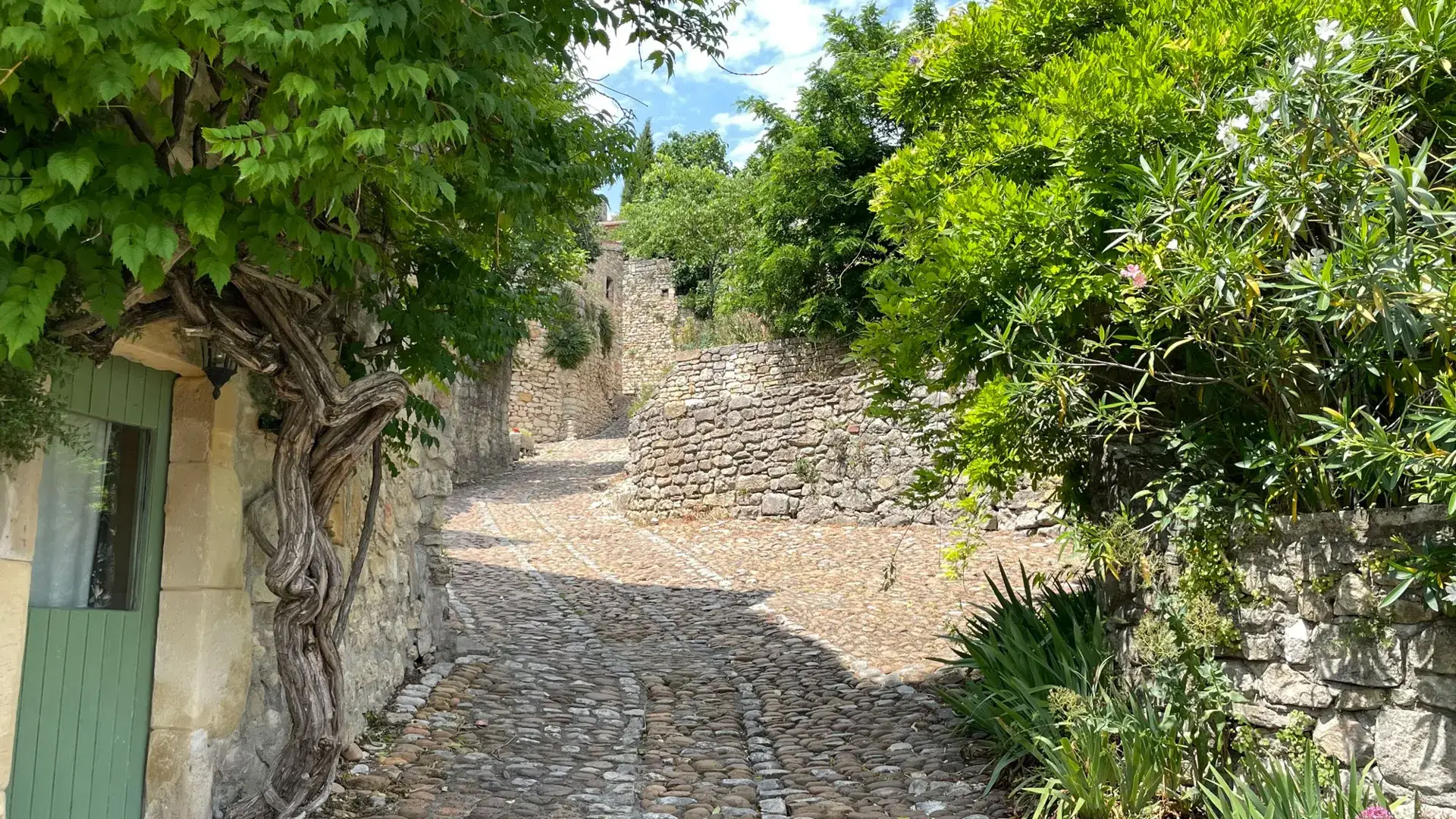 La Roque-sur-Céze, ruelle pavée fleurie