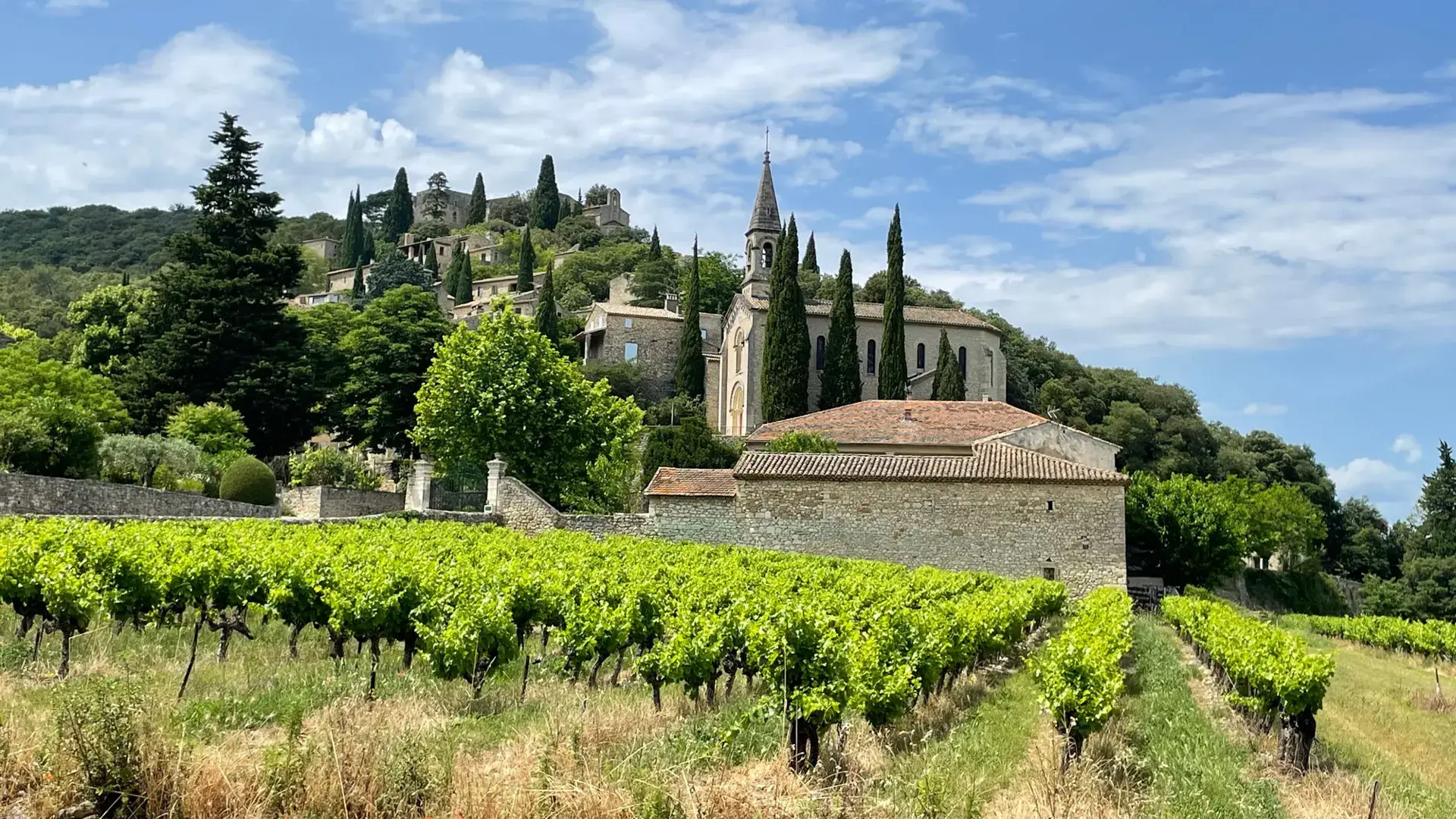 La Roque-sur-Céze, vue depuis les vignes