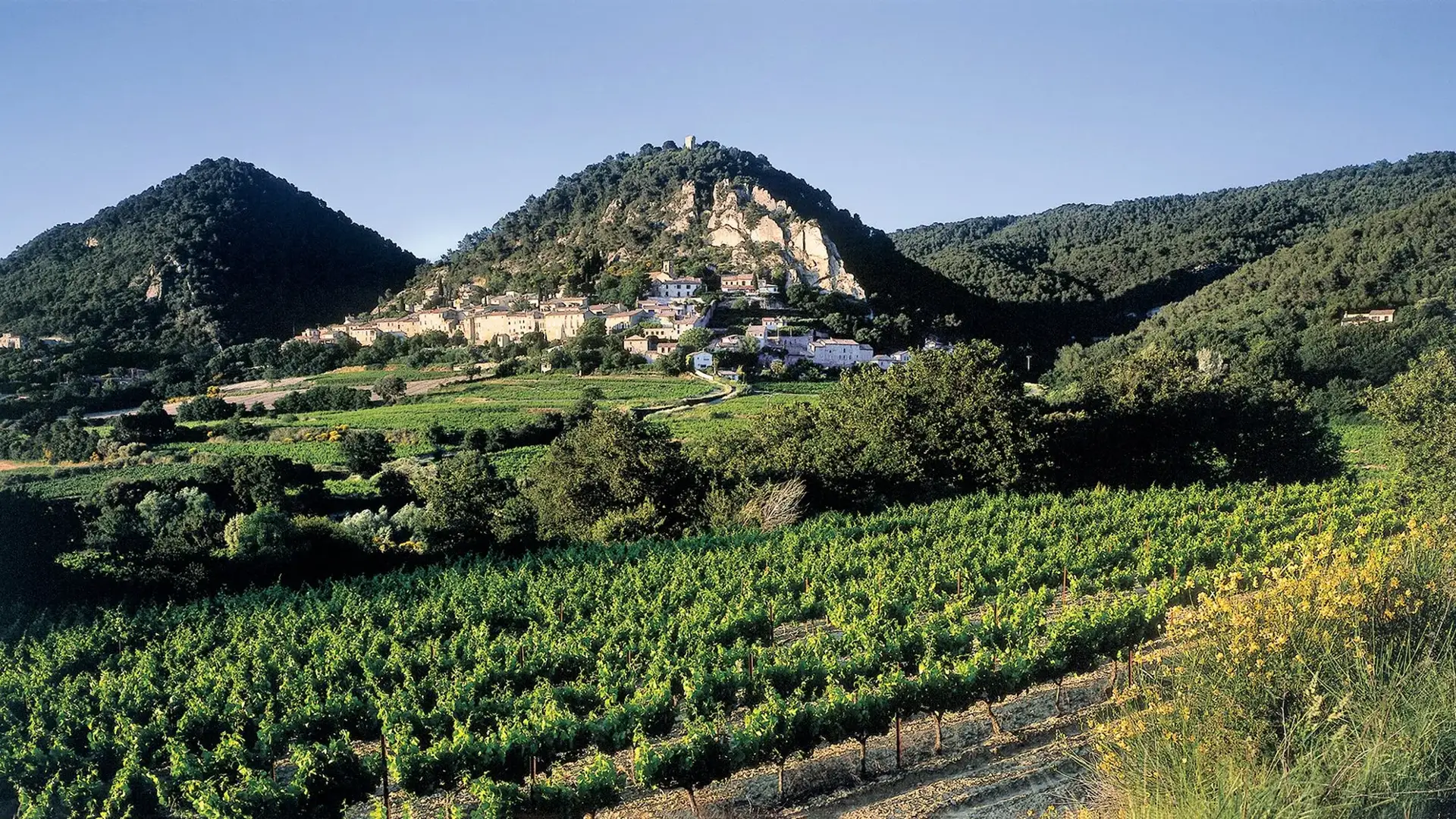 Séguret vue vignoble