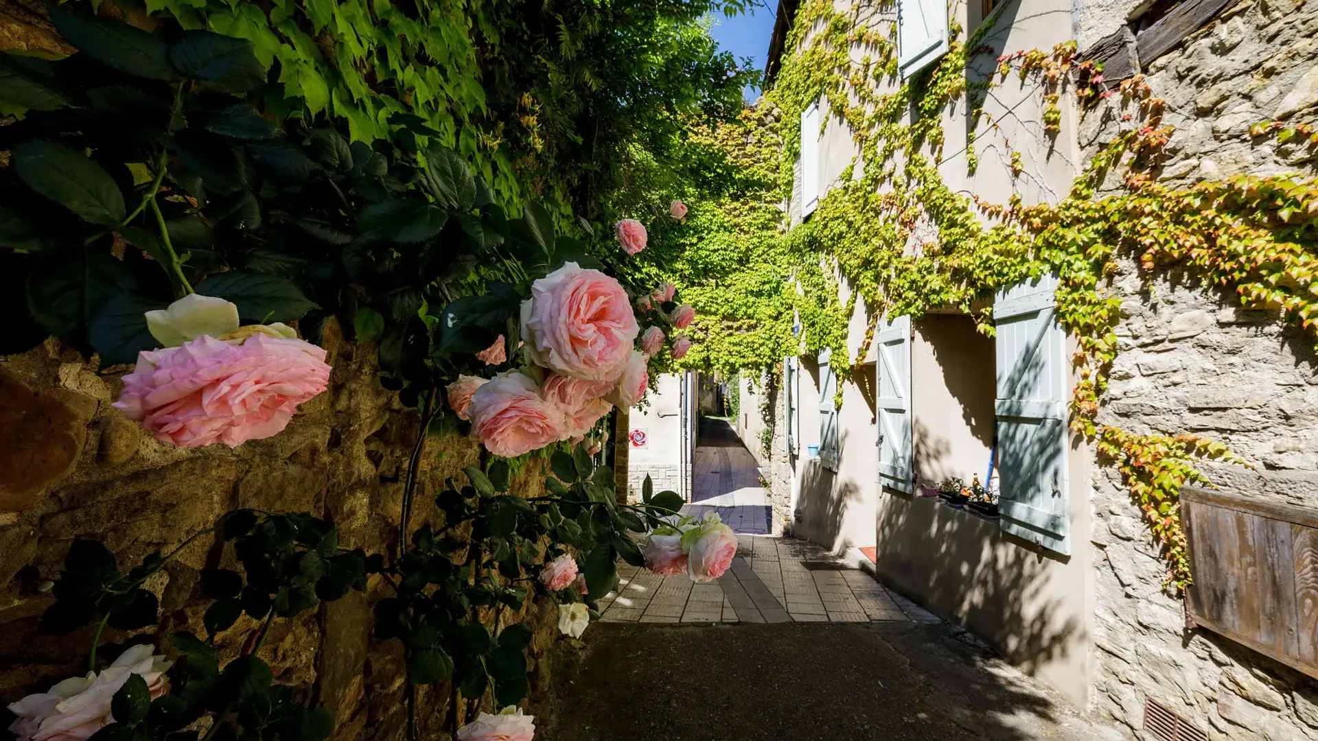 Camon, façades fleuries de rosiers