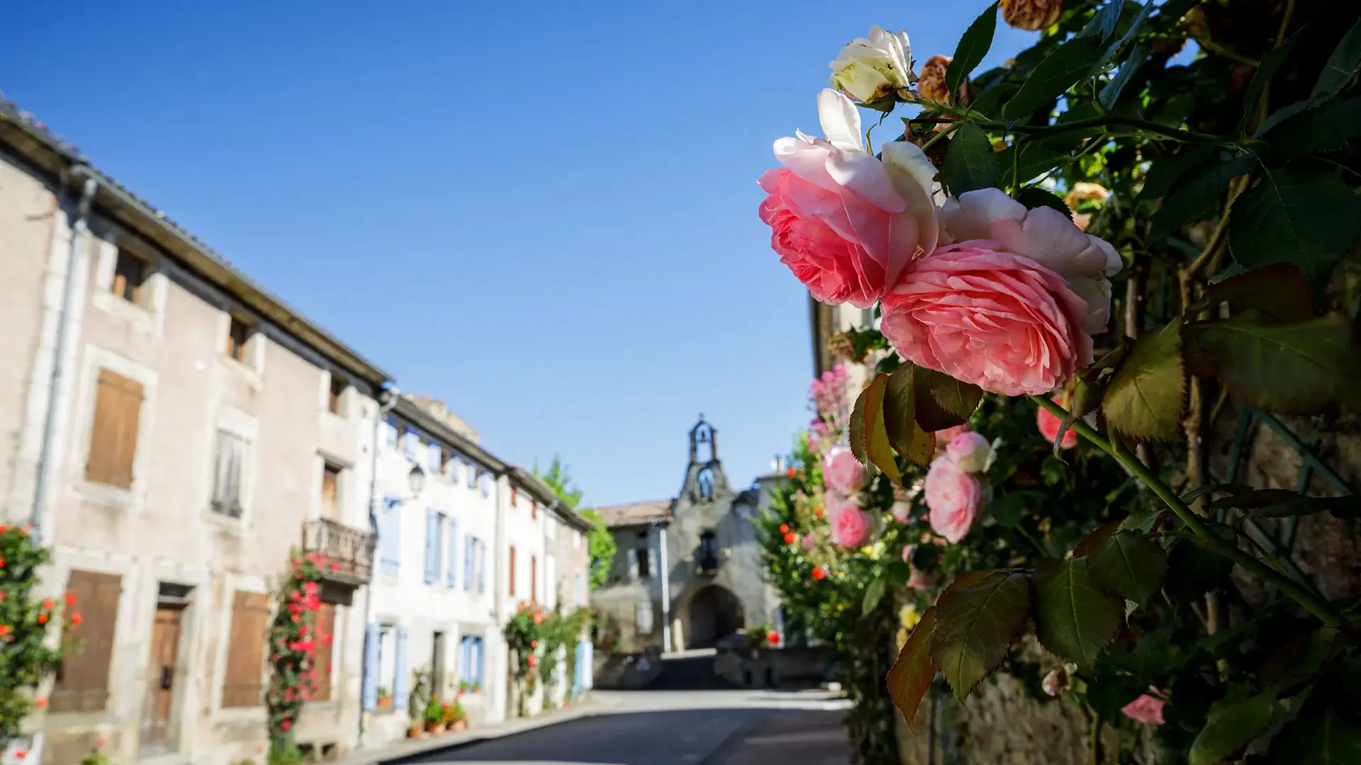 Camon, rue du village et ses rosiers