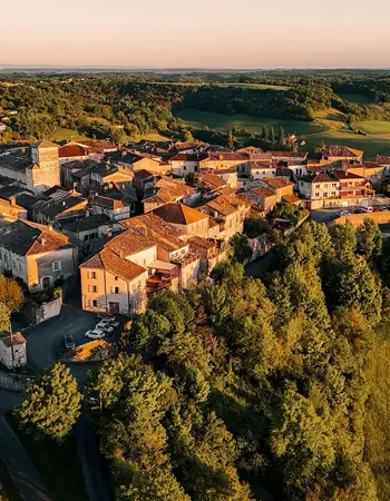 Castelnau-de-Montmiral image