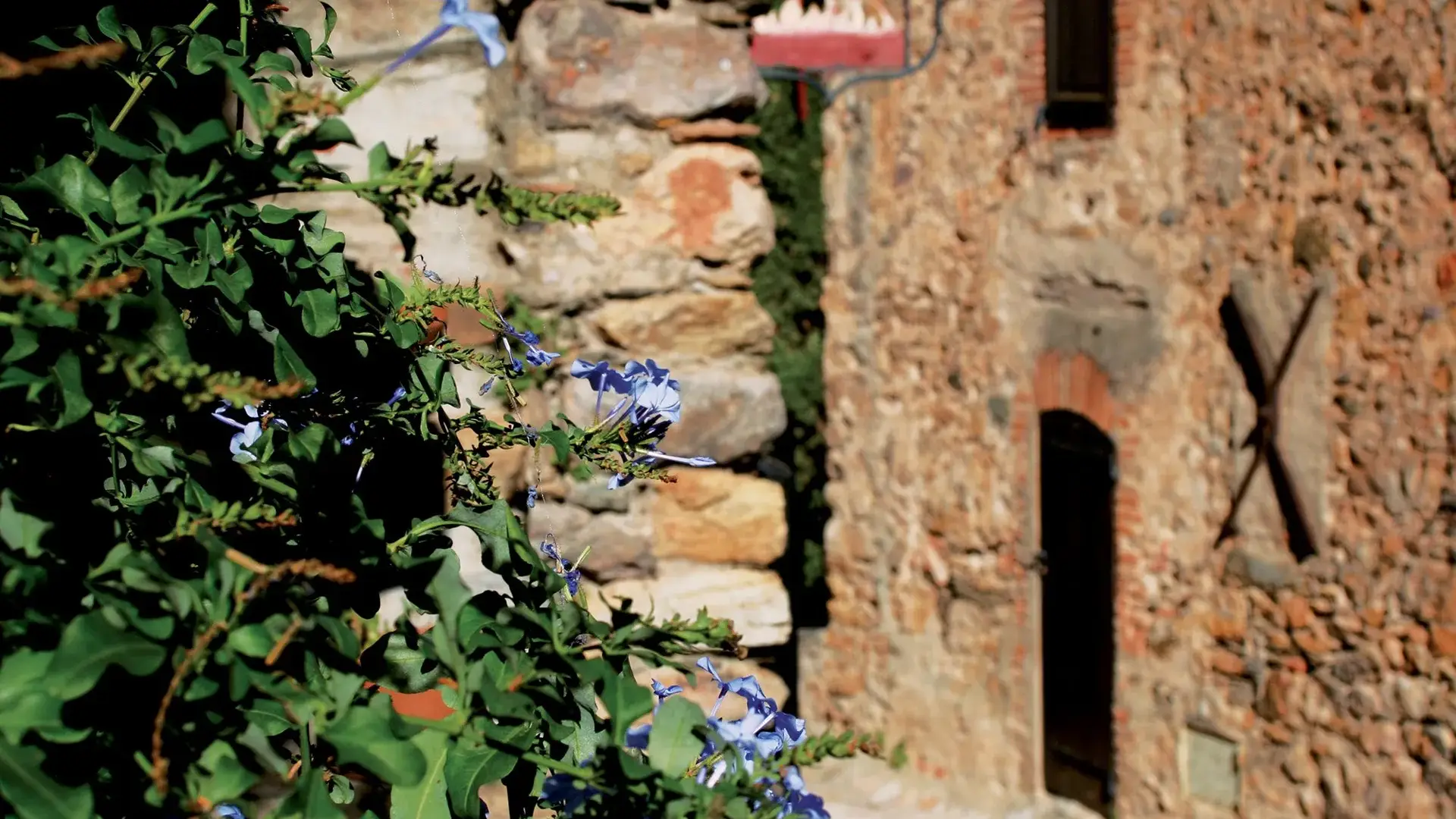 Castelnou ruelle fleurie