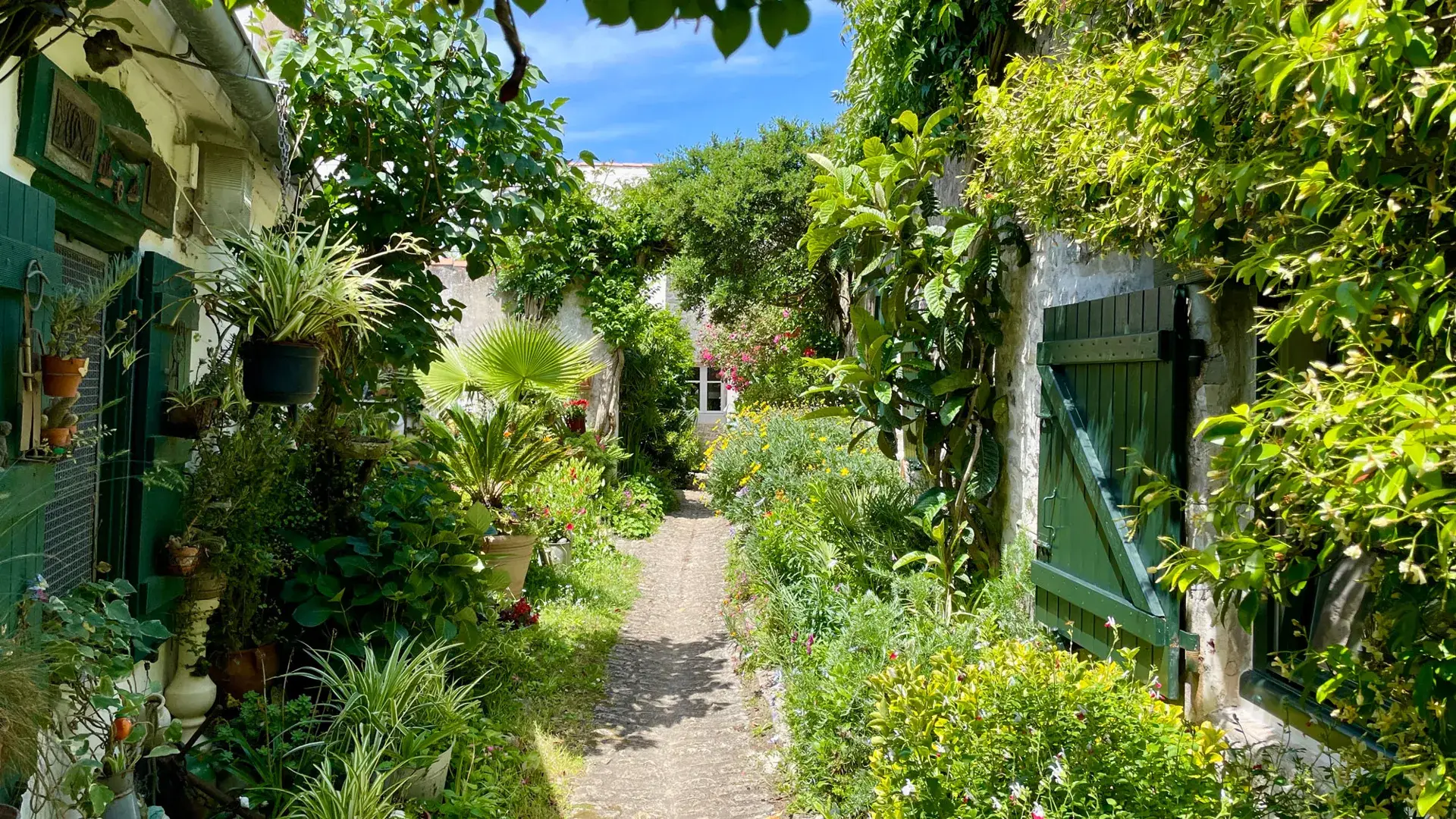 La Flotte, ruelle et jardin luxuriant