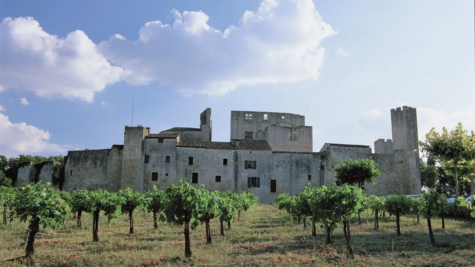Larressingle vignes et village