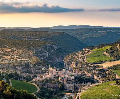 Minerve