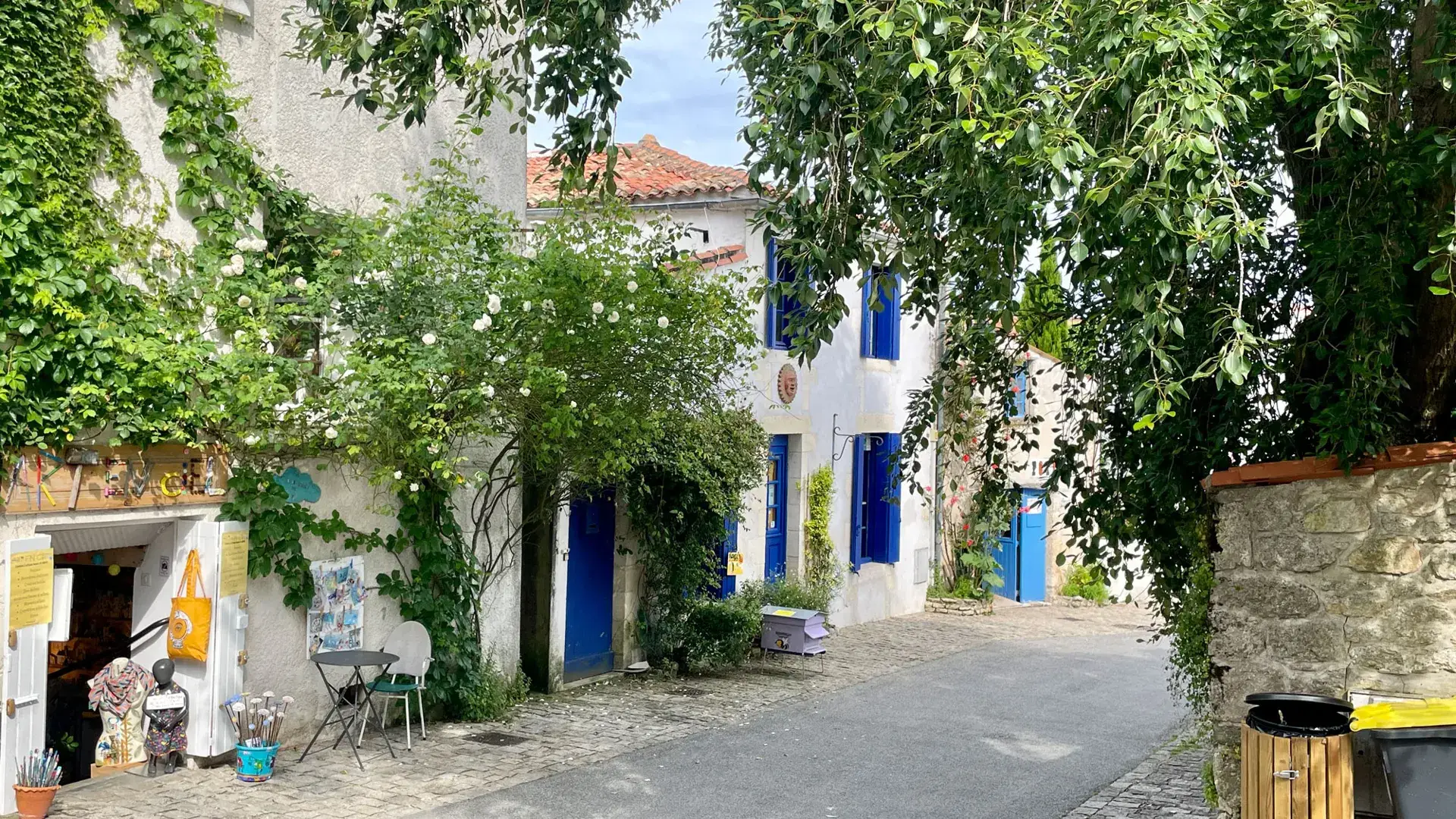 Mornac-sur-Seudre, rue fleurie