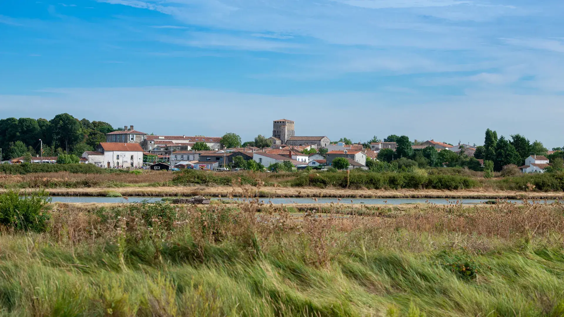 Mornac-sur-Seudre, vue du marais
