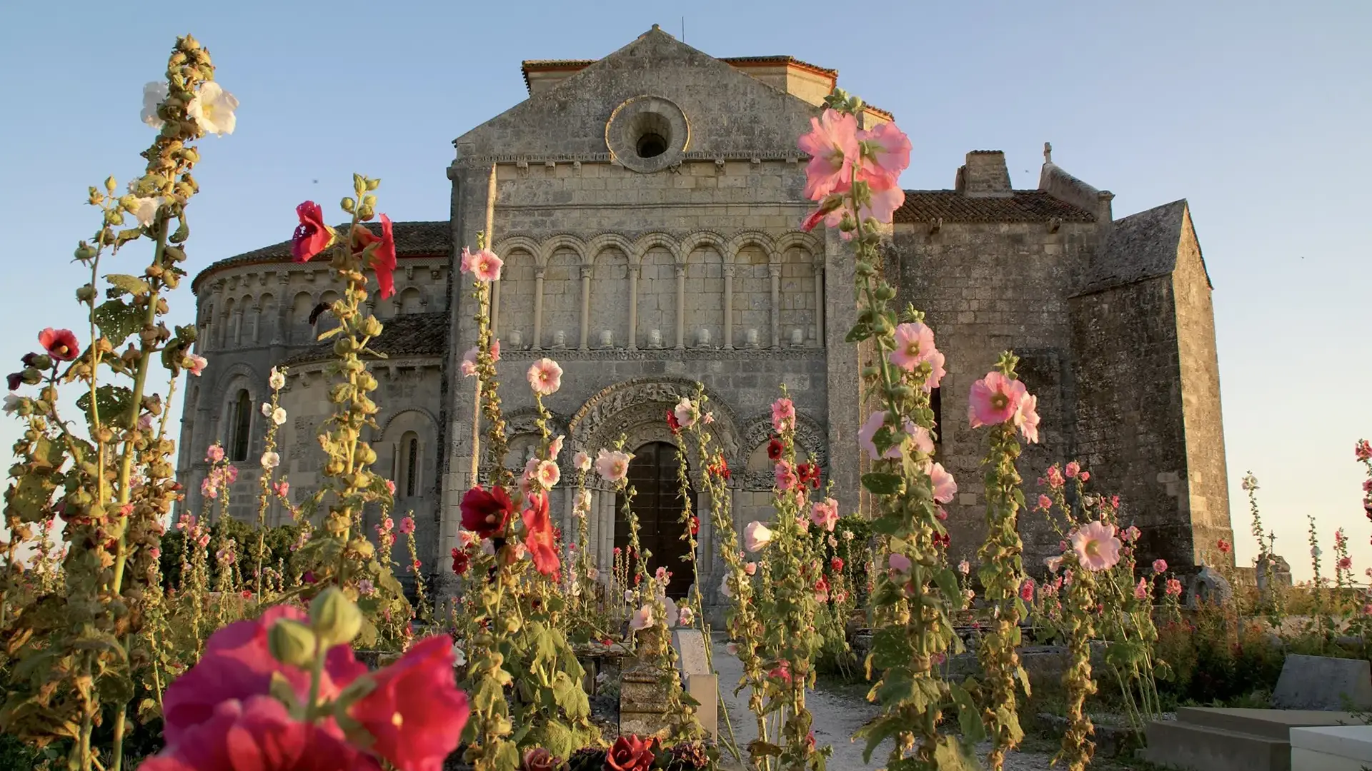 Talmont-sur-Gironde église Sainte-Radegonde et roses trémières
