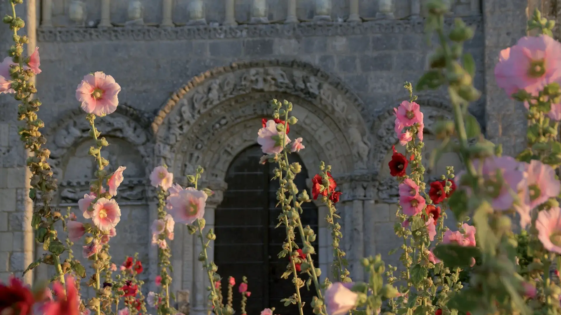 Talmont-sur-Gironde église Sainte-Radegonde tympan église et roses trémières