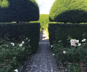 image de l'activité Le Jardin des Ifs