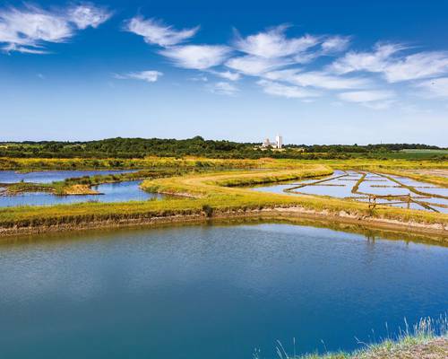 Les marais de la Seudre