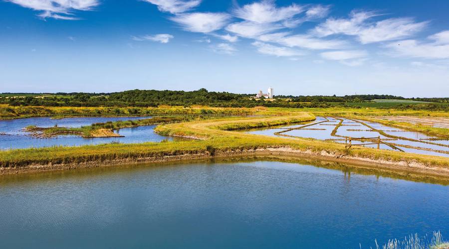 Les marais de la Seudre