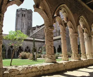 image de l'activité Collégiale Saint-Pierre et son cloître