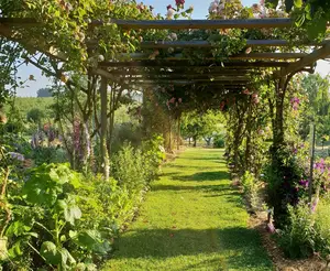 image de l'activité Les jardins de Coursiana
