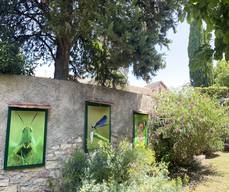 Jardin des 1001 pattes