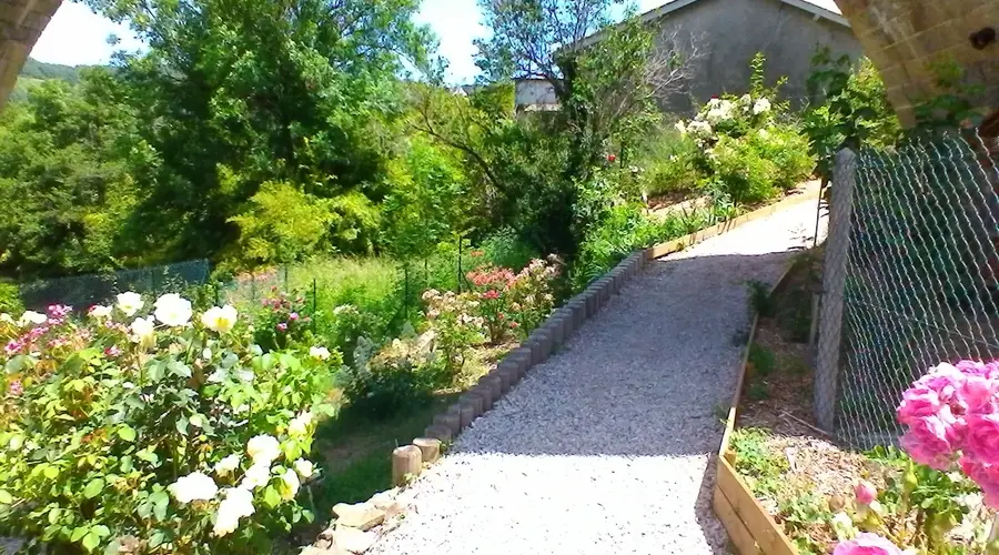 Roseraie conservatoire