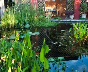 image de l'activité Jardin des Paradis