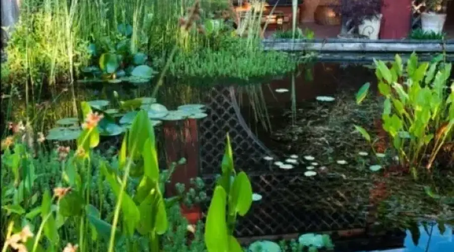 Jardin des Paradis