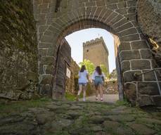 Forteresse de Polignac