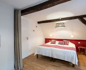 image de l'activité Maison Ungerer