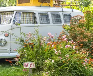 image de l'activité Au Gré des Vents