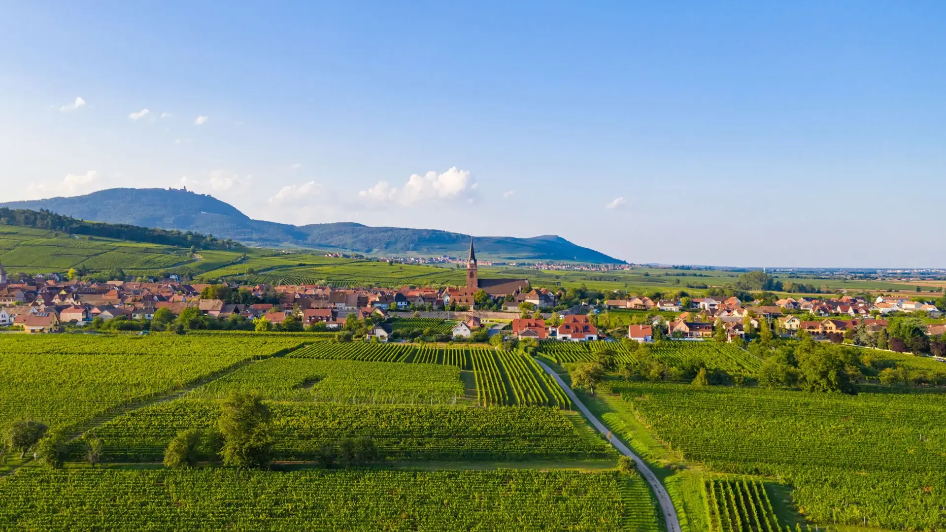 Bergheim, vue panoramique