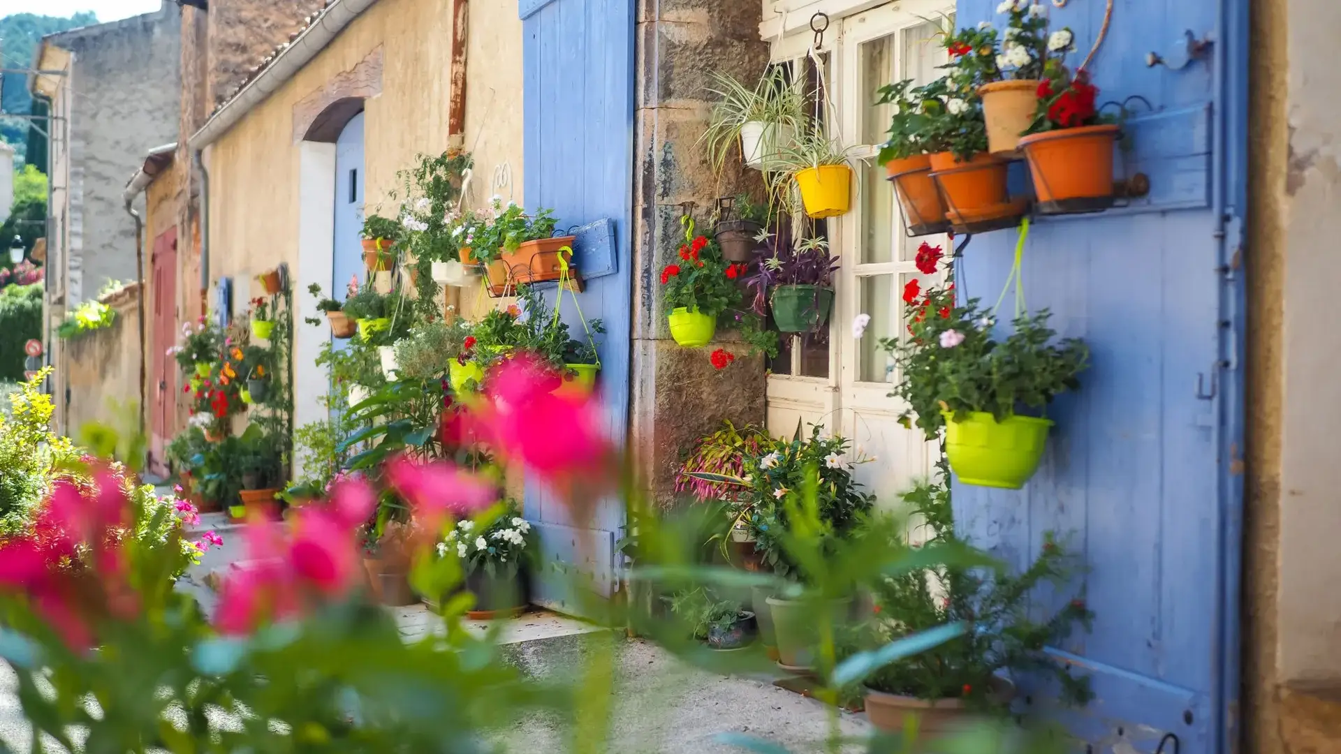 Cotignac façades fleuries