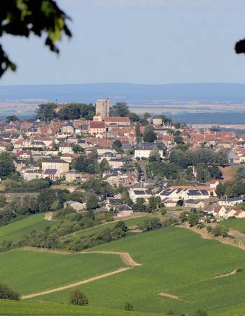 Sancerre image