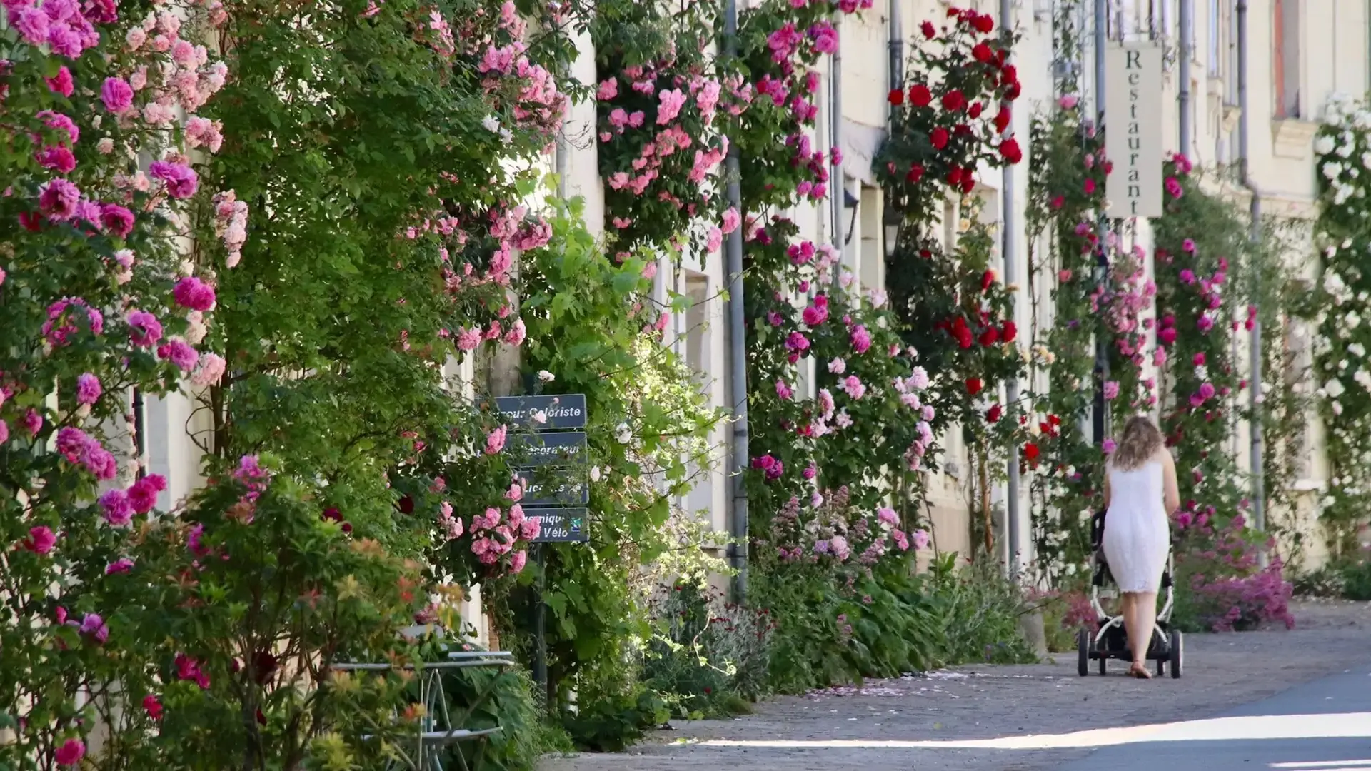 Fontevraud-l'Abbaye, rue Robert d'Arbrissel