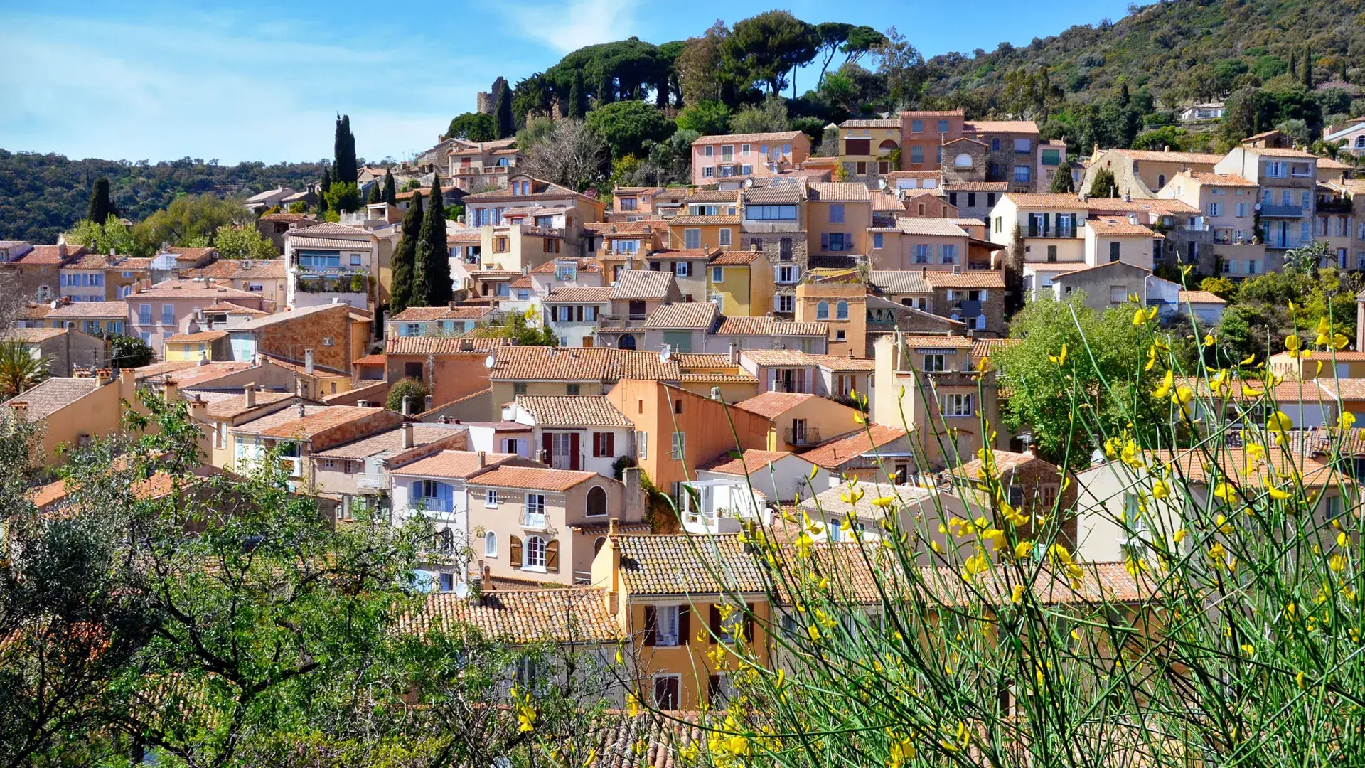 Bormes-les-Mimosas, vue générale