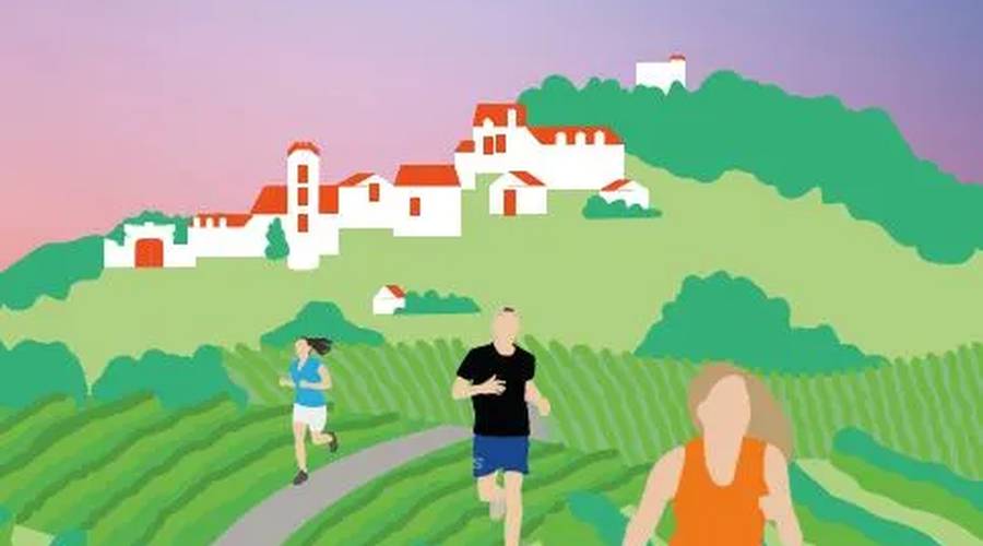 Trail de Sancerre : 12e édition