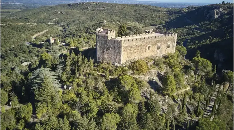 CHÂTEAU DE CASTELNOU