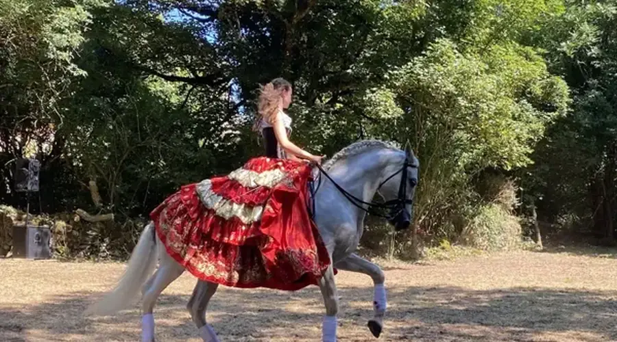 Spectacle équestre