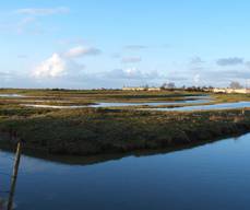 Marais de Brouage