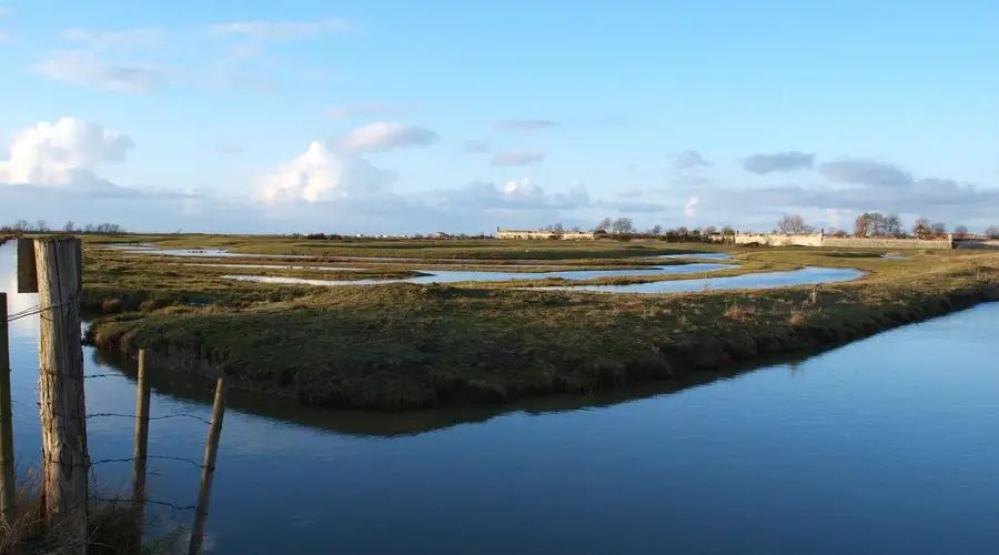 Marais de Brouage