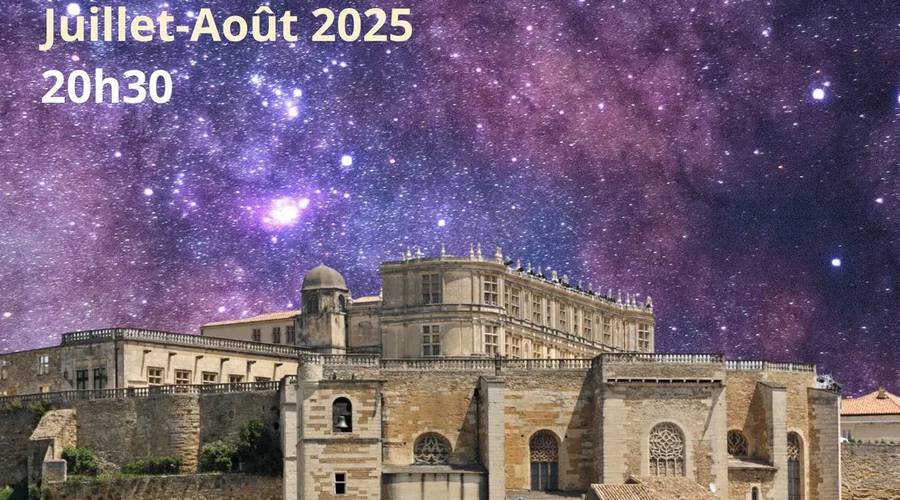 Visites guidées estivales