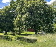 Jardin historique de Mont-Dauphin