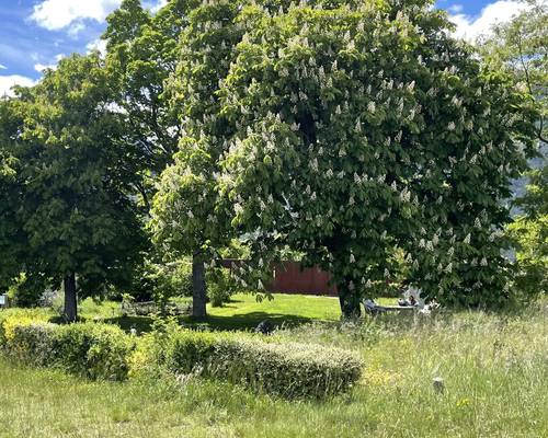 Jardin historique de Mont-Dauphin