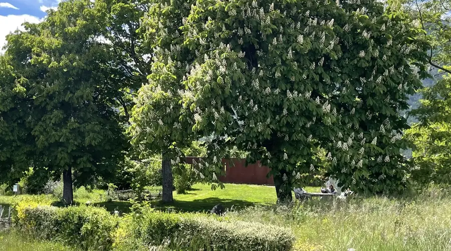 Jardin historique de Mont-Dauphin