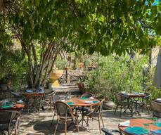 Le Jardin