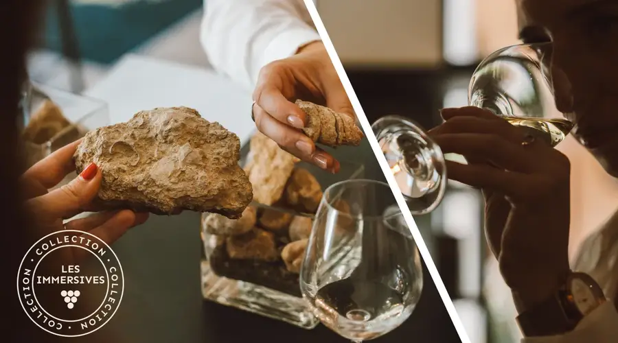 [Vignobles en scène]: Dégustation géosensorielle